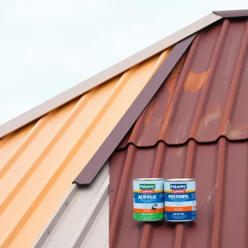Jaka farba na dach z blachy